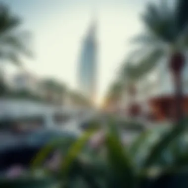 Community amenities surrounding the Magic Tower