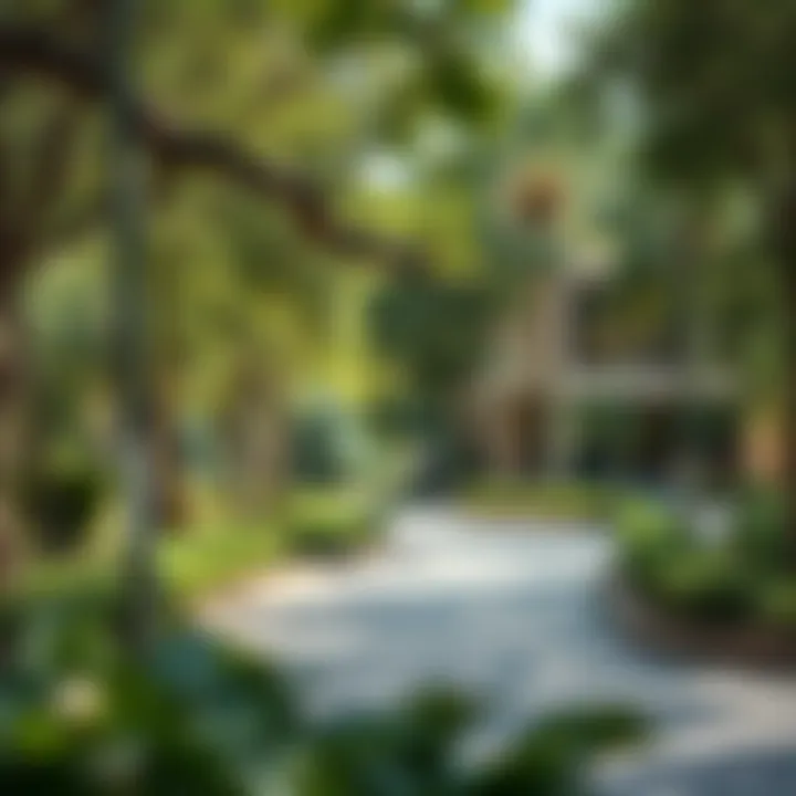 Community Park in الخزا Community park in الخزامية الشارقة with greenery