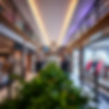 Interior shopping area of Jumeirah Mall with diverse retail offerings