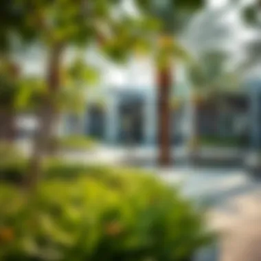 Community park in Mag City, highlighting sustainable landscaping
