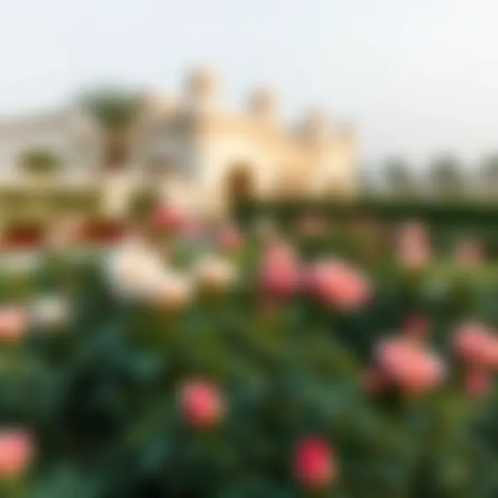 Beautiful rose garden symbolizing the cultural heritage of Dubai