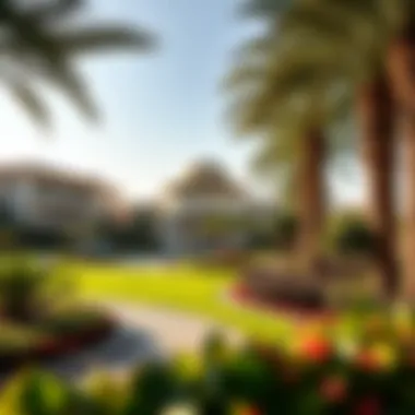 Beautifully landscaped gardens in a prestigious Dubai community.
