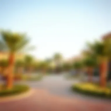 Community features including parks and recreational areas in Nook Wasl Gate
