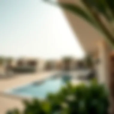 Real Estate Investment Potential in Zaabel Investment opportunities and market trends in Zaabel's real estate