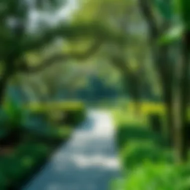 Lush Greenery in Nasma Central Park Lush greenery and walking paths in Nasma Central Park