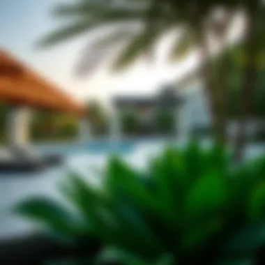 Community Amenities at Nibras Oasis 2 Community amenities and green spaces at Nibras Oasis 2