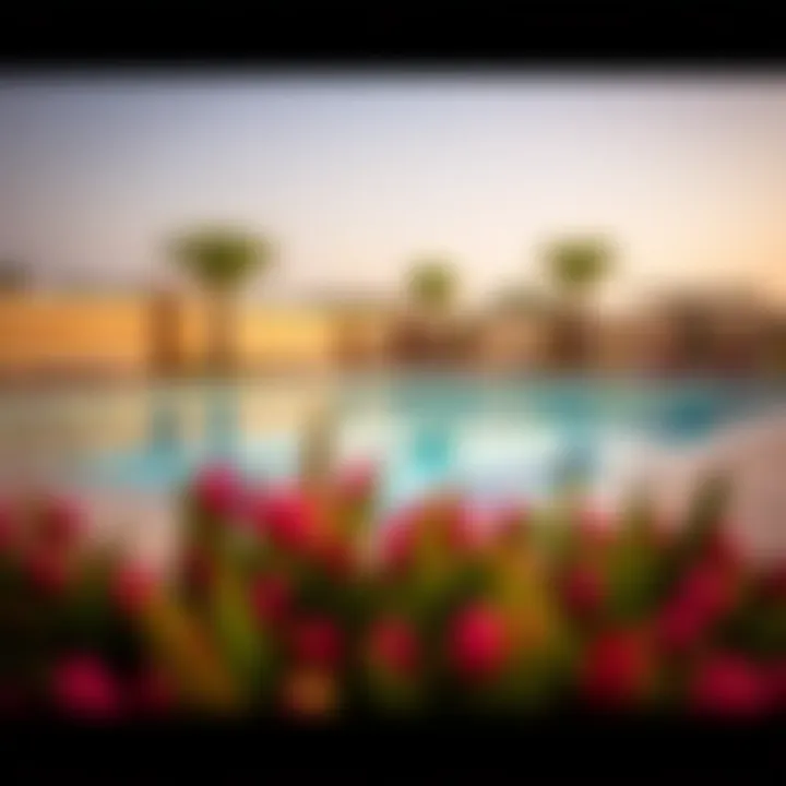 Community amenities including a swimming pool and sports facilities in Springs Community