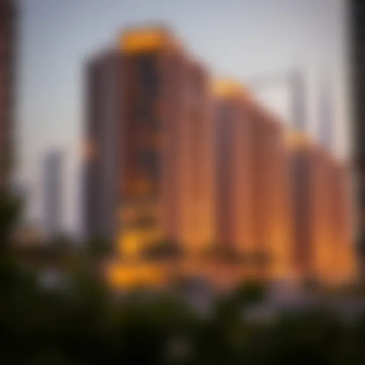 Impact of the Program on Dubai's Housing Landscape