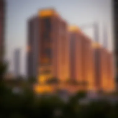 Impact of the Program on Dubai's Housing Landscape Impact of the Program on Dubai's Housing Landscape